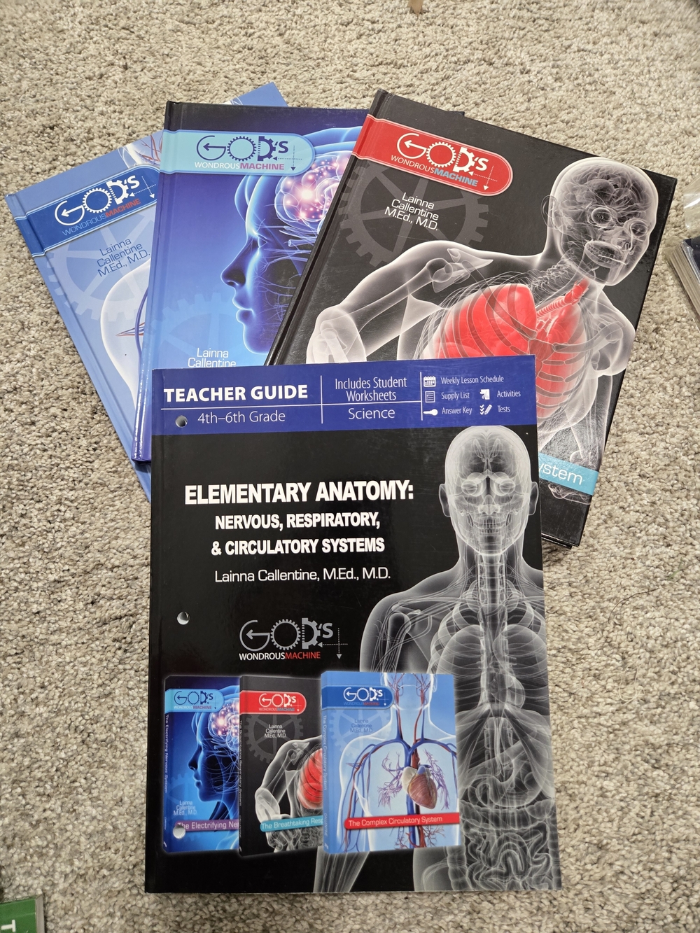 Elementary Anatomy Complete Set - 4th-6th grade